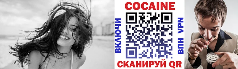 Купить закладки  Великий Новгород  COCAIN 98% 