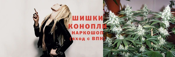 ешки Иннополис