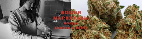 дживик Инсар