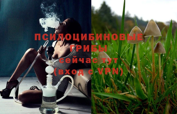 ешки Иннополис
