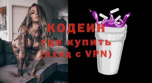 дживик Инта