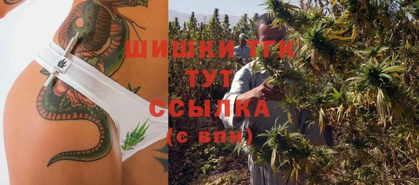 ешки Иннополис
