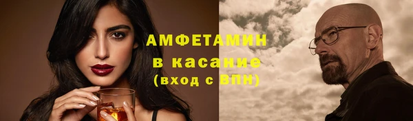 дживик Инта