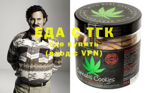 дживик Инта