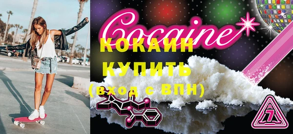 дживик Инта