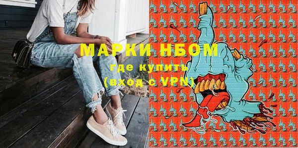 дживик Инсар