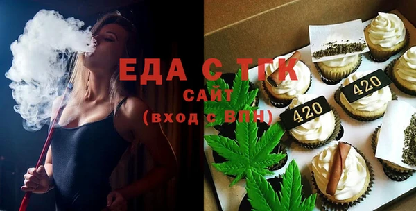 дживик Инта