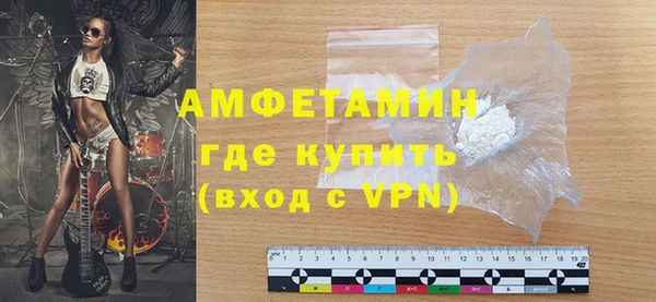 дживик Инта