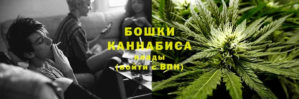 дживик Инта