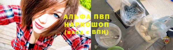 дживик Инсар